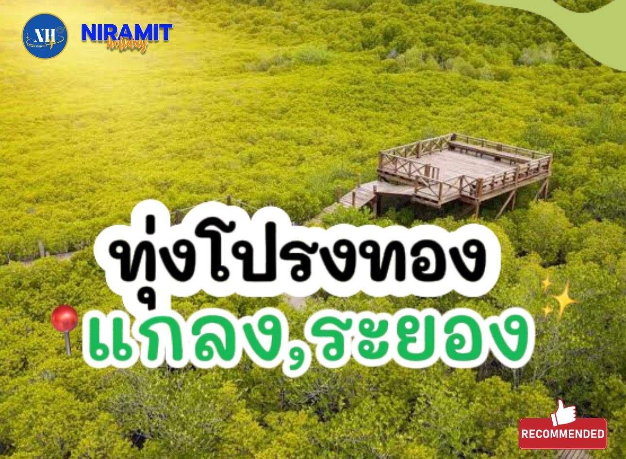 เที่ยวทุ่งโปปร่งทอง จังหวัดระยอง